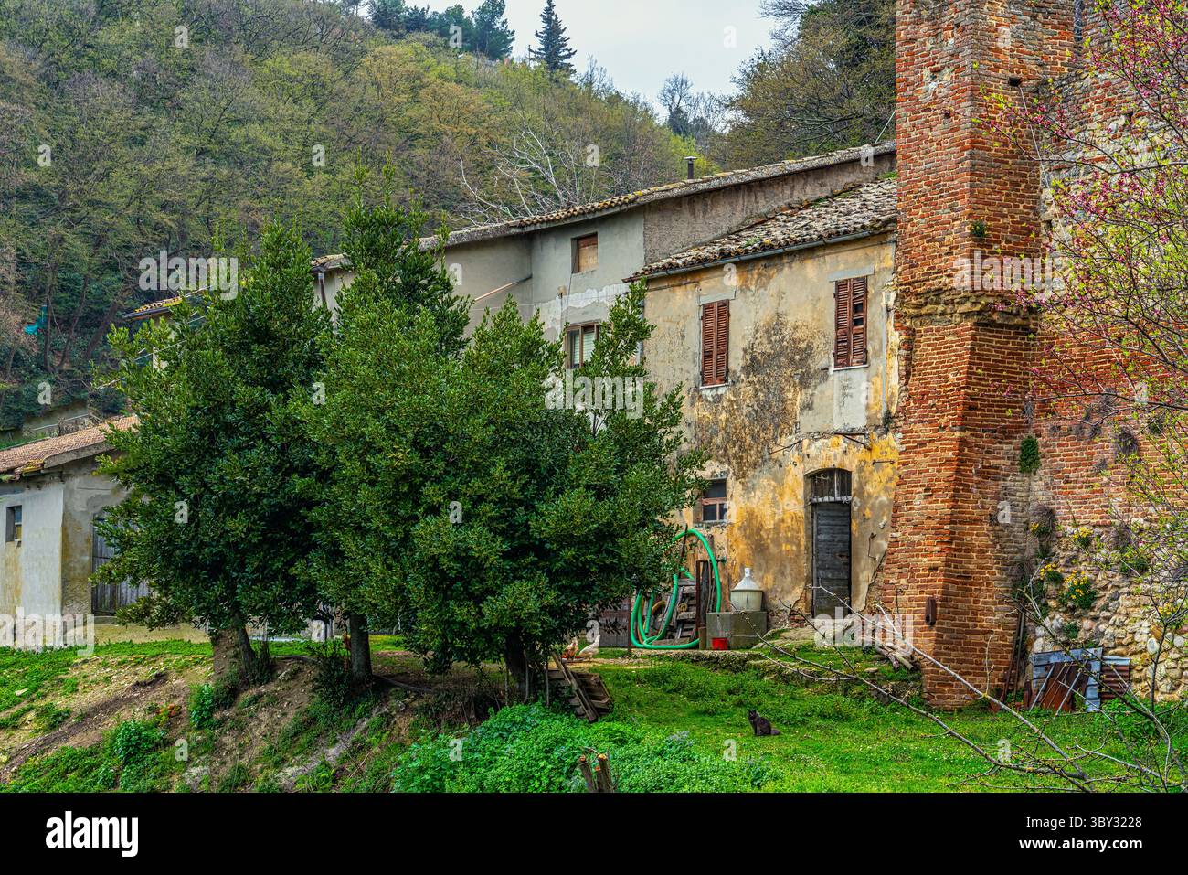 Vieilles maisons appuyées contre les murs médiévaux de Ripatransone, aujourd'hui une ferme. Ripatransone, Ascoli Piceno, Marches, Italie, Europe Banque D'Images