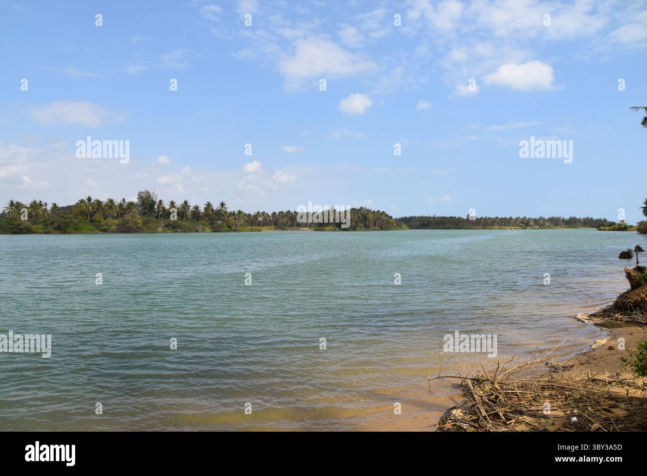Un estuaire pittoresque bordé de palmiers près de Sanya, en Chine Banque D'Images