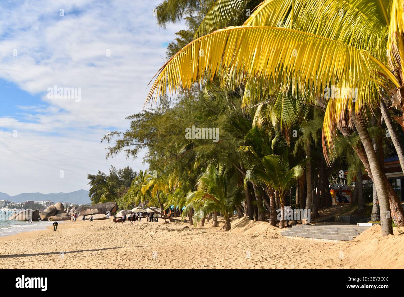 Les palmiers surplombent la plage de Sanya en Chine Banque D'Images