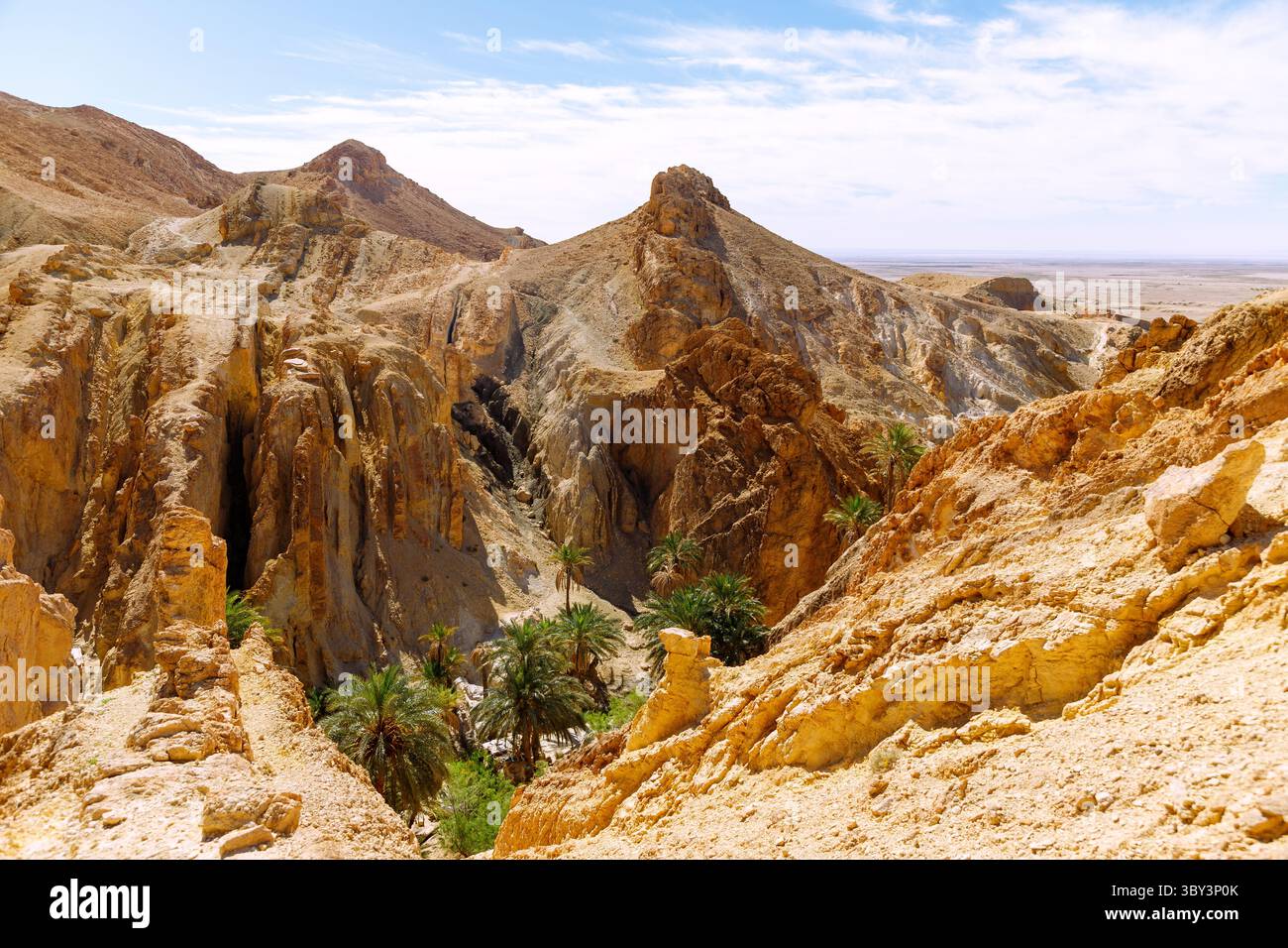 Paysage de canyon avec des couches de roche colorées et vue sur la palmeraie dans l'oasis de montagne de Chebika, Tunisie Banque D'Images
