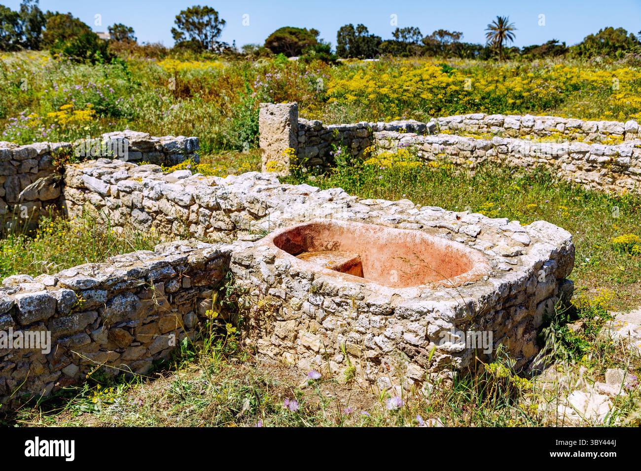 Site archéologique de la ville phénicienne de Kerkouane avec murs en pierre et bain avec baignoire en pierre, Tunisie Banque D'Images