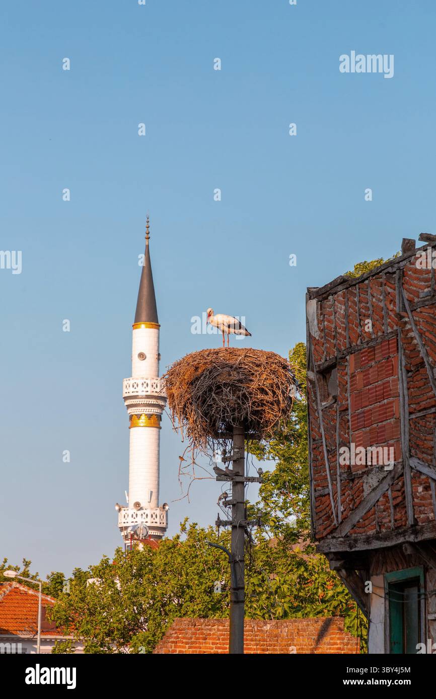 Cigognes migratrices reposant sur leur nid au sommet d'un poteau dans le village de Golyazi, Nilufer, province de Bursa à Turkiye. Banque D'Images
