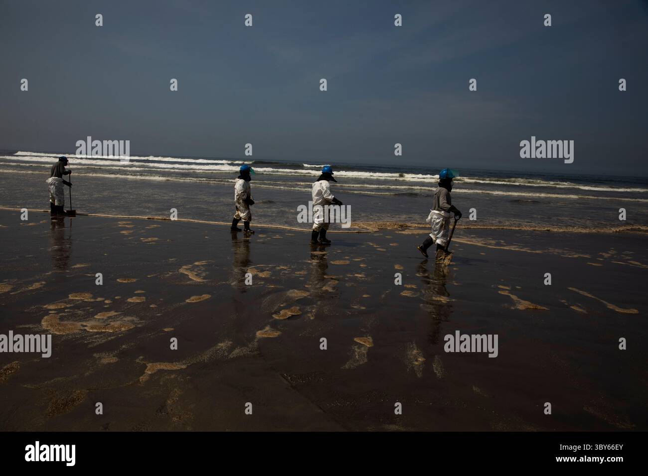 19 janvier 2022, Callao, Pérou : les travailleurs nettoient après un déversement de pétrole, sur la plage de Cavero dans le district de Ventanilla à Callao. Environ 6 000 barils (159 litres chacun) de pétrole se sont déversés lors du déchargement d'un pétrolier à la raffinerie de la Pampilla appartenant à la compagnie énergétique espagnole Repsol. (Crédit image : © Mariana Bazo/ZUMA Press Wire) Banque D'Images