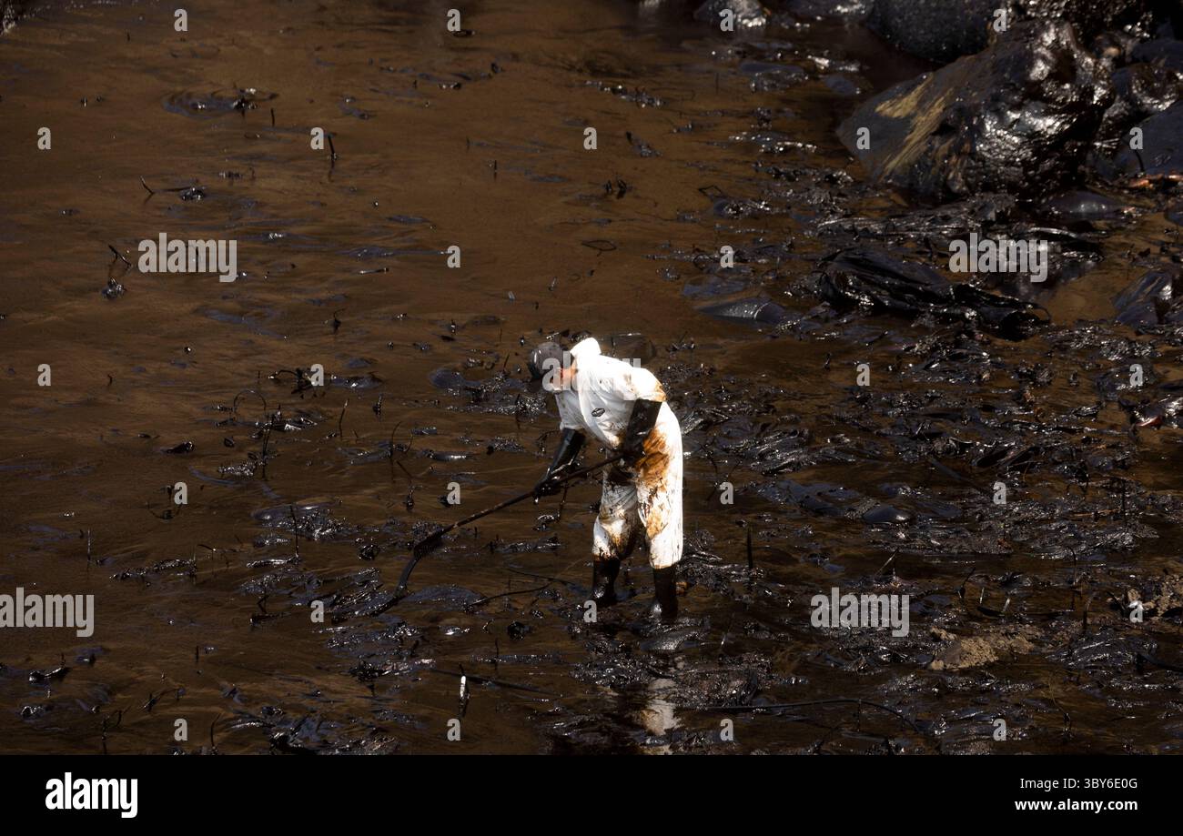 19 janvier 2022, Callao, Pérou : les travailleurs nettoient après un déversement de pétrole, sur la plage de Cavero dans le district de Ventanilla à Callao. Environ 6 000 barils (159 litres chacun) de pétrole se sont déversés lors du déchargement d'un pétrolier à la raffinerie de la Pampilla appartenant à la compagnie énergétique espagnole Repsol. (Crédit image : © Mariana Bazo/ZUMA Press Wire) Banque D'Images