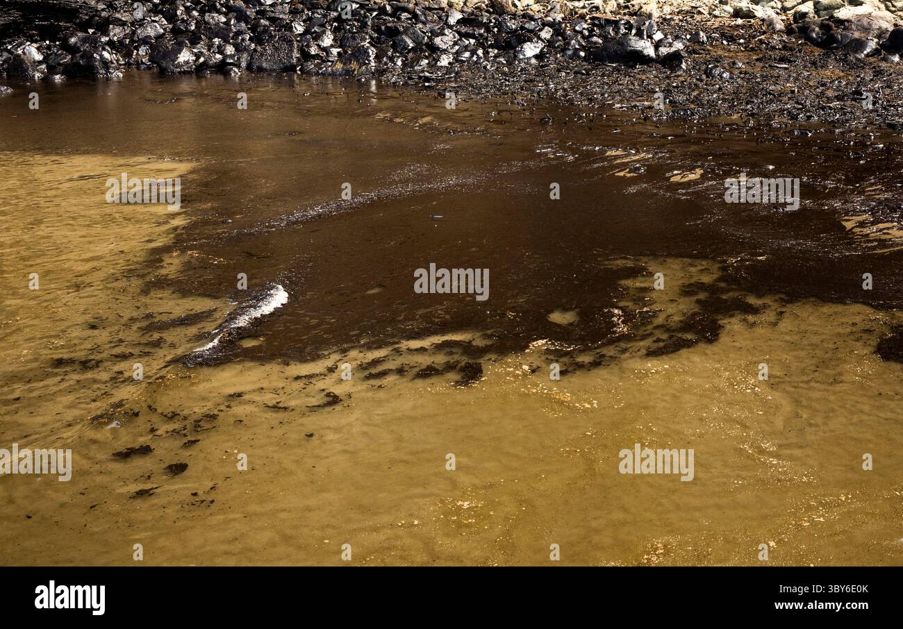 19 janvier 2022, Callao, Pérou : les travailleurs nettoient après un déversement de pétrole, sur la plage de Cavero dans le district de Ventanilla à Callao. Environ 6 000 barils (159 litres chacun) de pétrole se sont déversés lors du déchargement d'un pétrolier à la raffinerie de la Pampilla appartenant à la compagnie énergétique espagnole Repsol. (Crédit image : © Mariana Bazo/ZUMA Press Wire) Banque D'Images