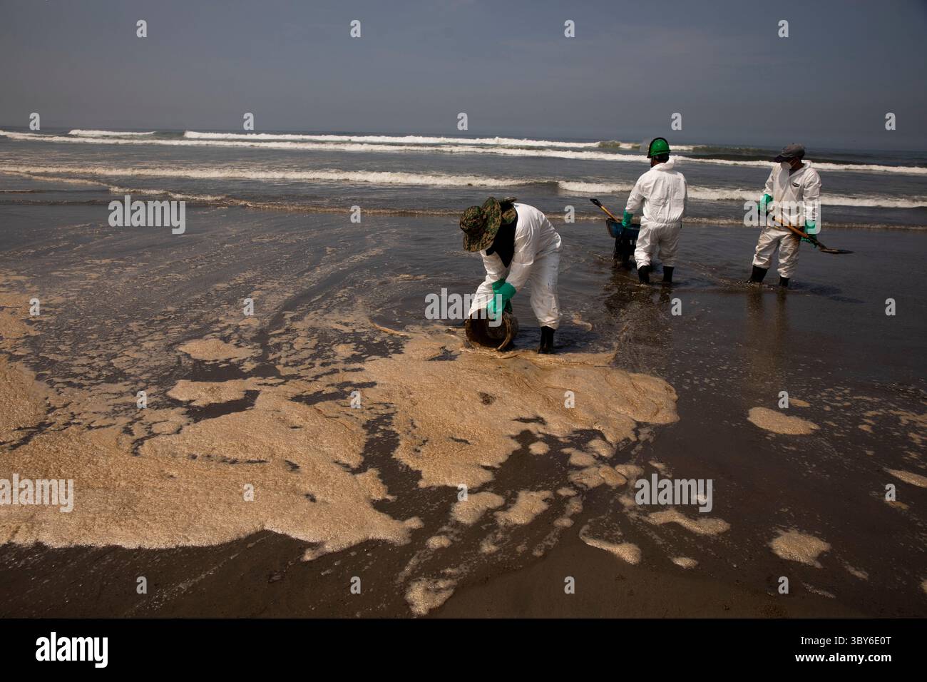19 janvier 2022, Callao, Pérou : les travailleurs nettoient après un déversement de pétrole, sur la plage de Cavero dans le district de Ventanilla à Callao. Environ 6 000 barils (159 litres chacun) de pétrole se sont déversés lors du déchargement d'un pétrolier à la raffinerie de la Pampilla appartenant à la compagnie énergétique espagnole Repsol. (Crédit image : © Mariana Bazo/ZUMA Press Wire) Banque D'Images