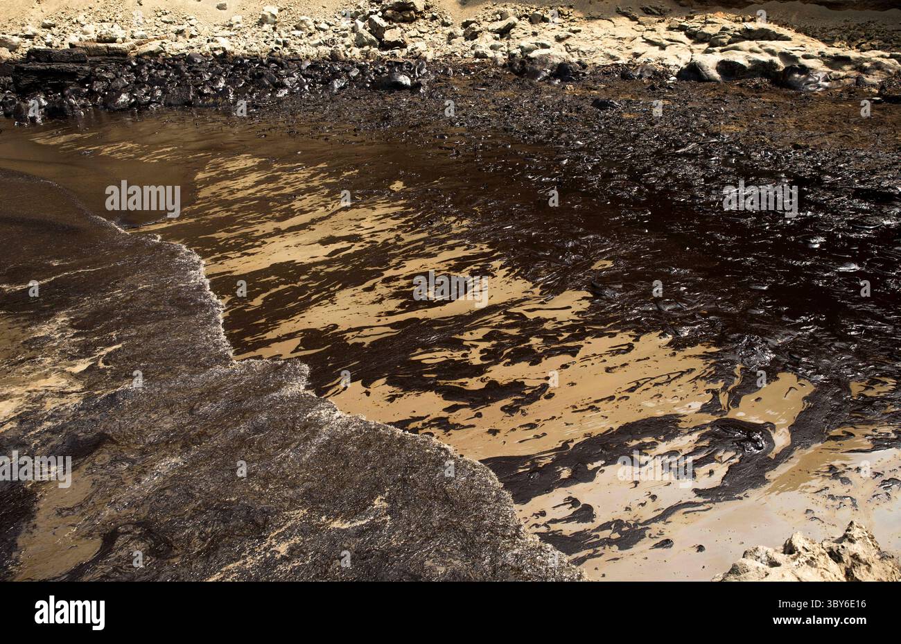 19 janvier 2022, Callao, Pérou : les travailleurs nettoient après un déversement de pétrole, sur la plage de Cavero dans le district de Ventanilla à Callao. Environ 6 000 barils (159 litres chacun) de pétrole se sont déversés lors du déchargement d'un pétrolier à la raffinerie de la Pampilla appartenant à la compagnie énergétique espagnole Repsol. (Crédit image : © Mariana Bazo/ZUMA Press Wire) Banque D'Images