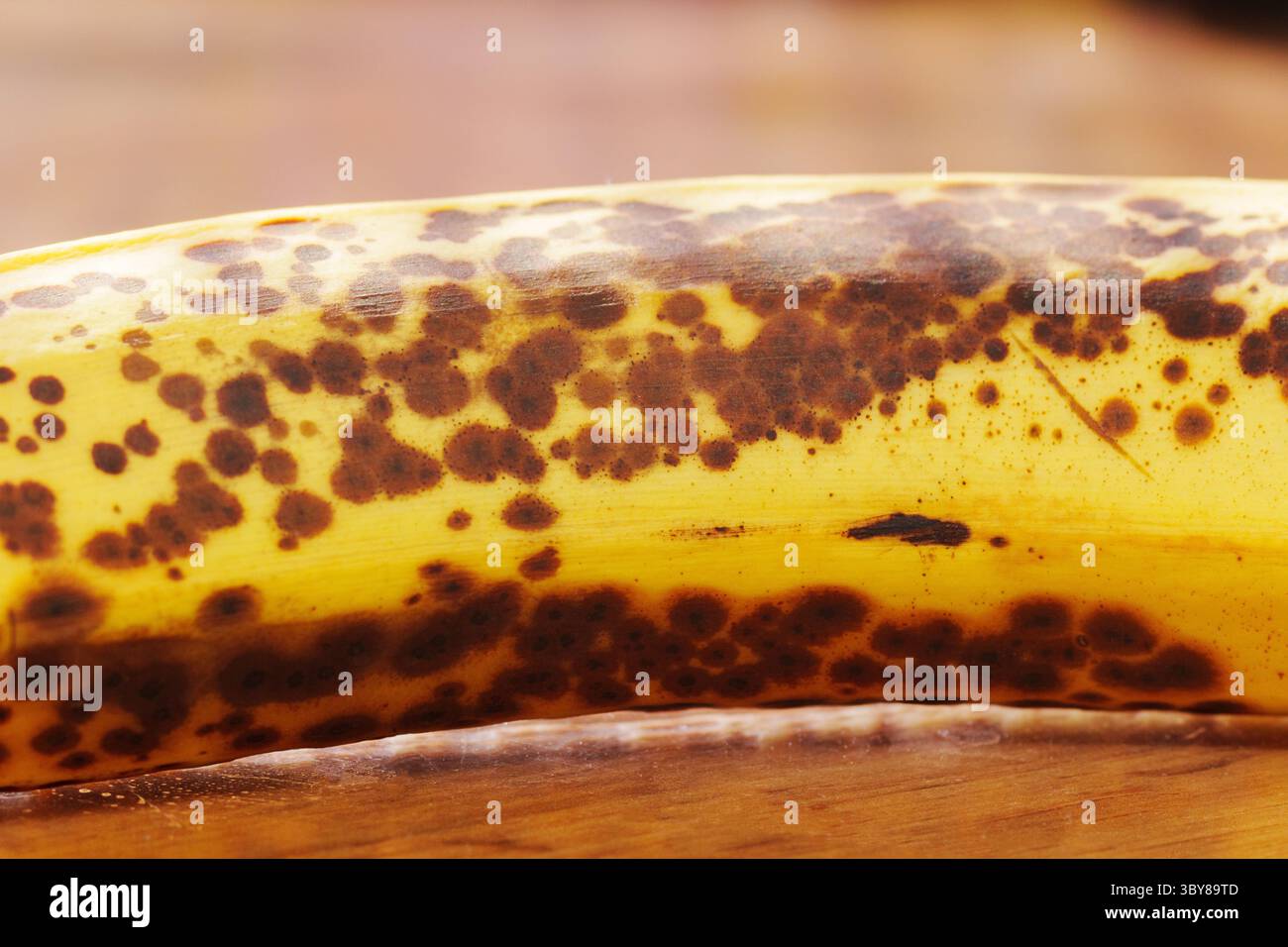 Banane mûre avec des taches brunes reposant sur une surface en bois dans une cuisine Banque D'Images