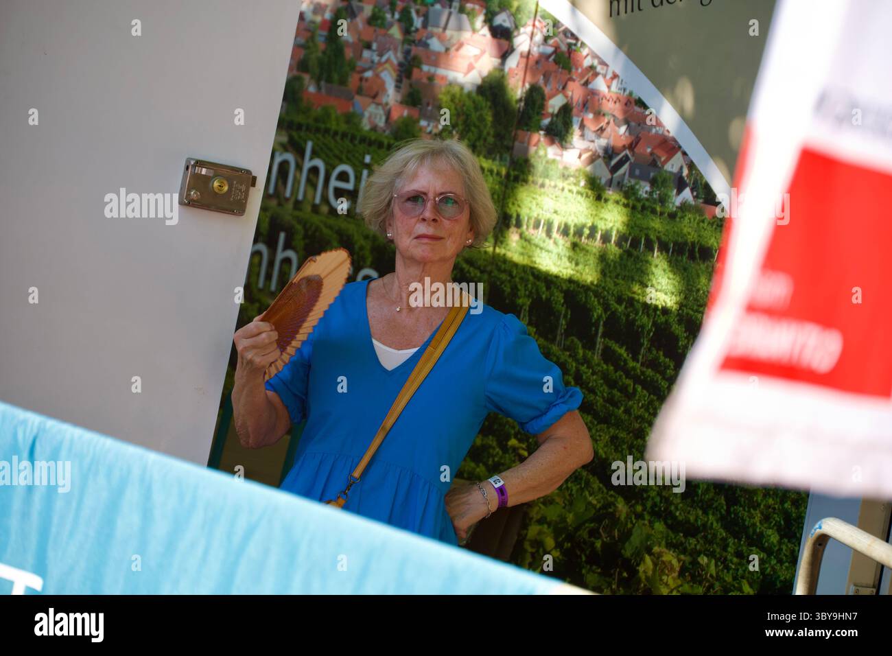Mainz, Allemagne. 29 juin 2025. Concert de BAP à la Citadelle de Mayence. Banque D'Images