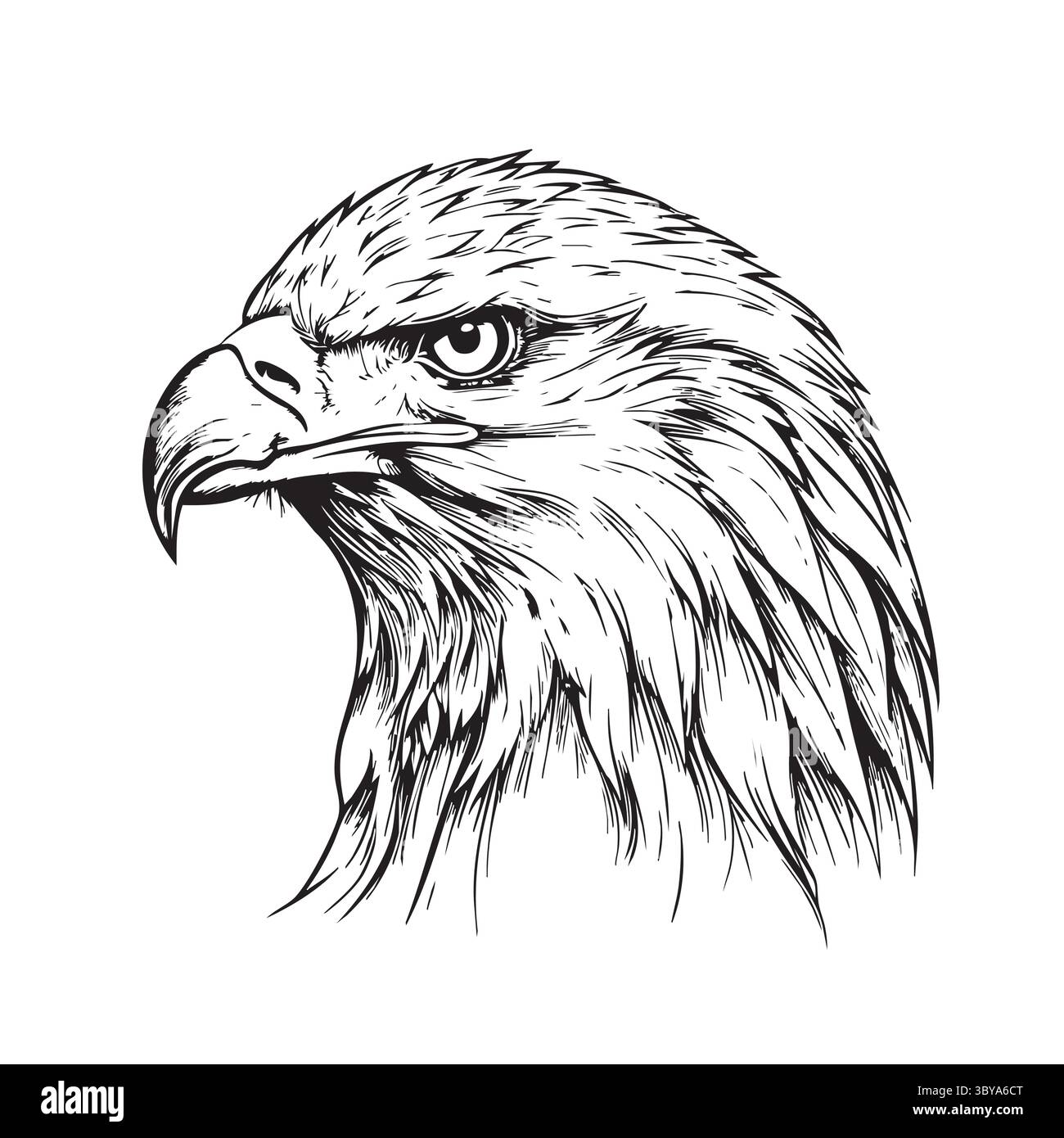 Croquis de tête d'aigle chauve symbolisant la fierté américaine. Idéal pour le jour de l'indépendance, affiches patriotiques, symboles nationaux et illustrations du patrimoine américain. Illustration de Vecteur