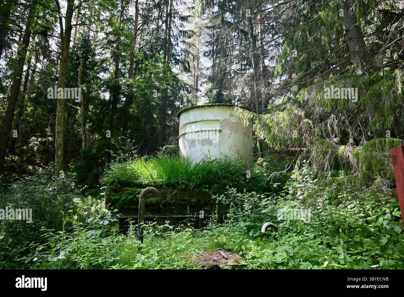 Le sanatorium de Paimio est un ancien sanatorium antituberculeux de Paimio, dans le sud-ouest de la Finlande, conçu par l'architecte finlandais Alvar Aalto. Aalto a reçu la commission de conception après avoir remporté le concours d'architecture pour le projet qui s'est tenu en 1929. Entouré de forêts avec des sentiers pédestres initialement conçus pour aider à la récupération, mais maintenant pour les visiteurs et les invités de séjour Banque D'Images