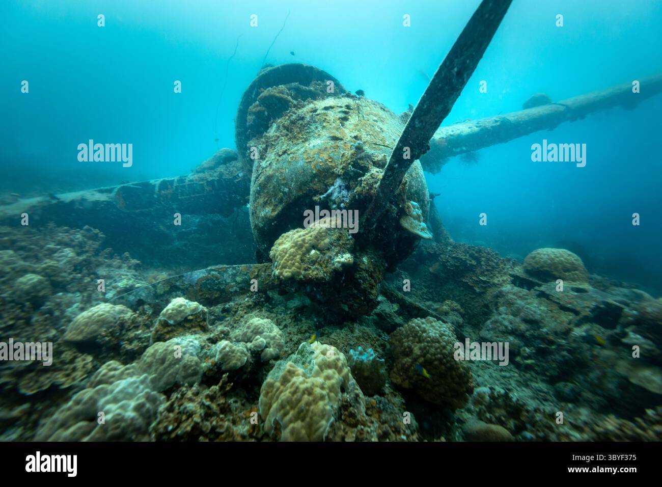 Vue de face de l'épave de l'avion engloutie et assise sur un récif corallien. Le Jake est un hydravion de la marine japonaise de la seconde Guerre mondiale, modèle Aichi E13A-1 Banque D'Images Vue de face de l'épave de l'avion engloutie et assise sur un récif corallien. Le Jake est un hydravion de la marine japonaise de la seconde Guerre mondiale, modèle Aichi E13A-1 Banque D'Images