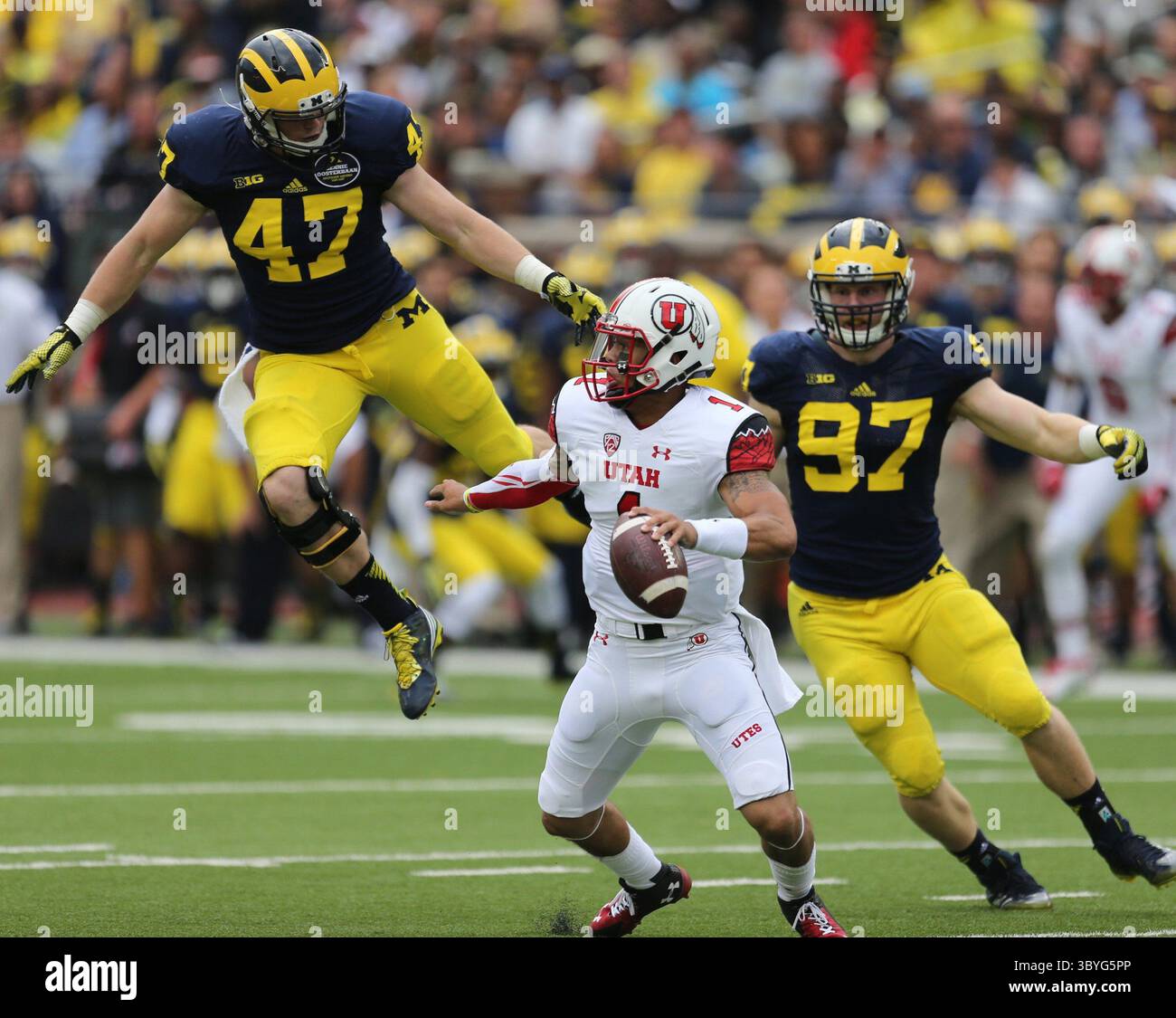 20 septembre 2014 - Ann Arbor, mi, États-Unis - Jake Ryan de l'Université du Michigan (47) affronte Kendal Thompson de l'Utah (1) lors du deuxième quart d'action le samedi 20 septembre 2014 au Michigan Stadium d'Ann Arbor, Mich. (crédit image : © Kirthmon F. Dozier/Detroit Free Press via ZUMA Press Wire) Banque D'Images