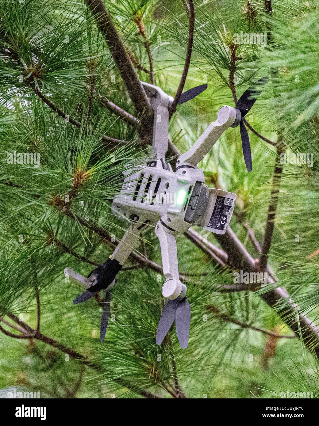 Drone coincé dans un arbre - un drone personnel perdu accident avec le compartiment de batterie ouvert - quadcopter écrasé - drone Fail concept de sécurité Banque D'Images