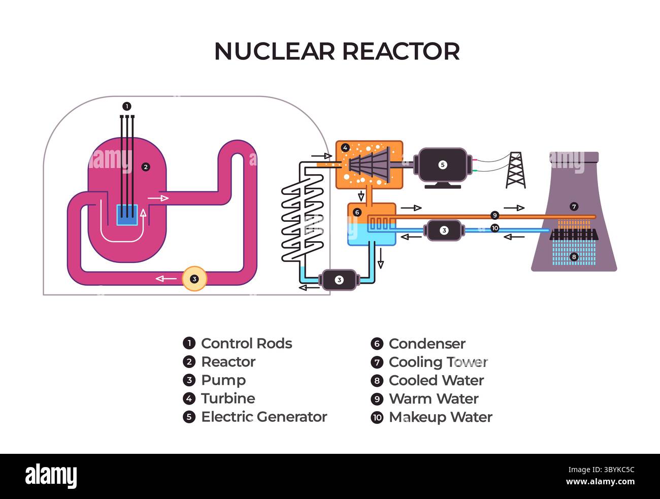 schéma étiqueté illustrant les composants et le flux opérationnel d'un réacteur nucléaire à eau sous pression du cœur à la tour de refroidissement pour Illustration de Vecteur