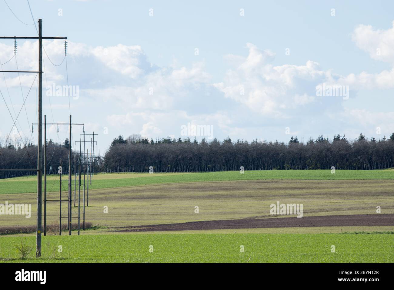 Vieux poteau électrique contre un ciel bleu clair, poteaux électriques dans un paysage plat Banque D'Images