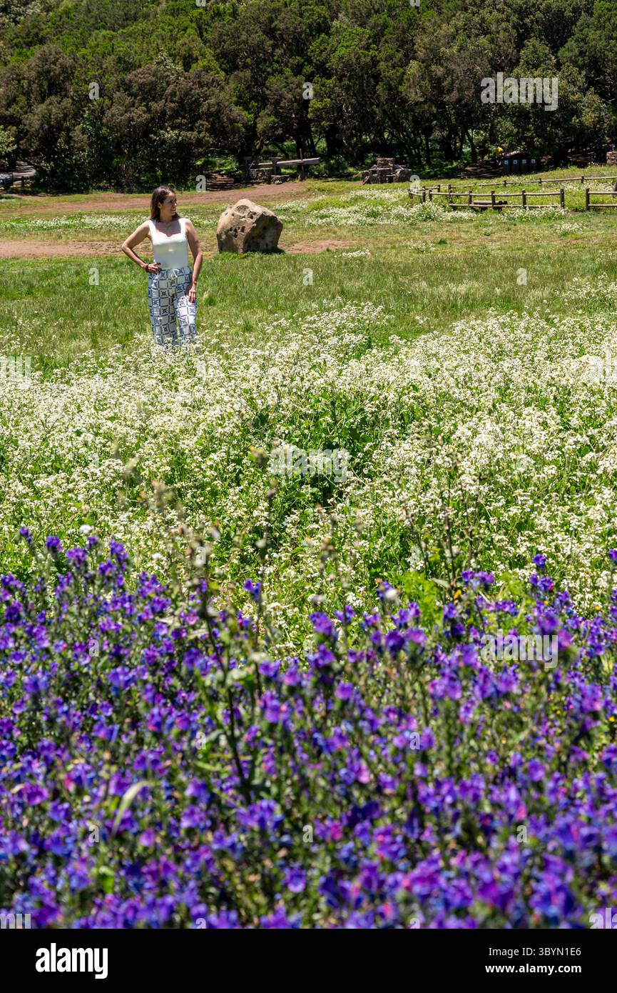 Une femme se tient dans un champ de fleurs. Le champ est plein de fleurs violettes et la femme porte une chemise blanche Banque D'Images