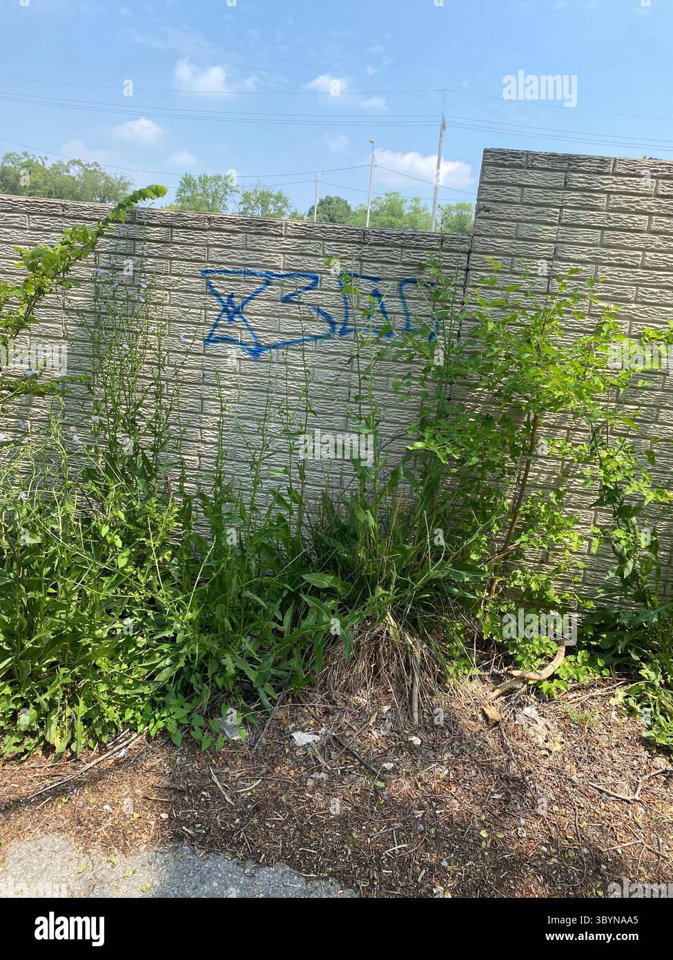 5PN est une alliance de gangs de rue de Detroit composée de plus petites cliques de Crip et d'équipes de tag en 48219 (cinq points), y compris W7M, ScoreGang, ETGC, et plus encore. Banque D'Images