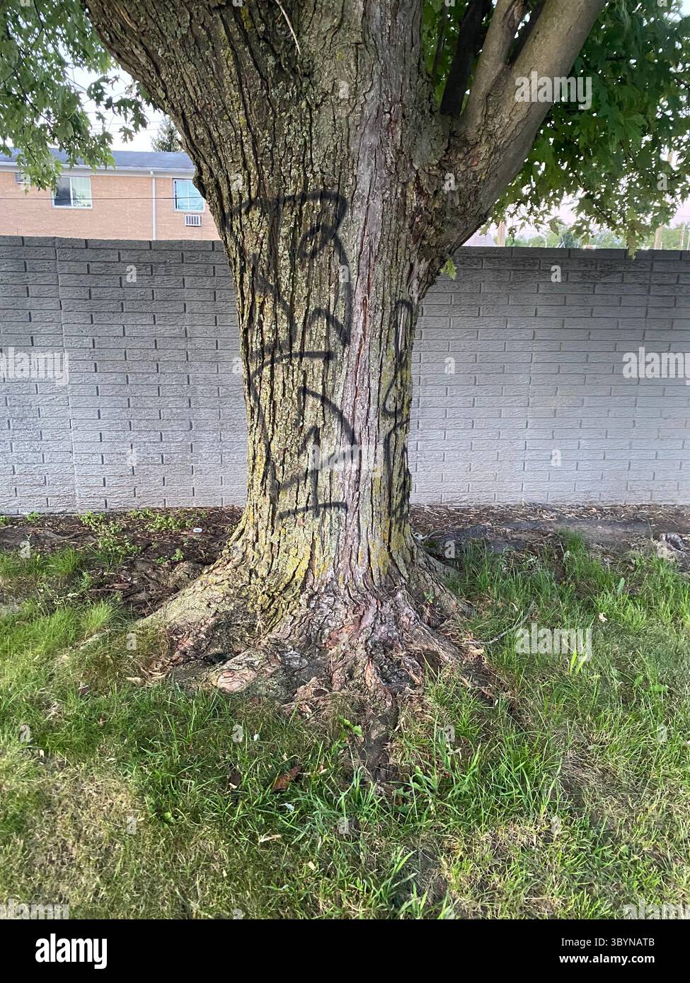 5PN est une alliance de gangs de rue de Detroit composée de plus petites cliques de Crip et d'équipes de tag en 48219 (cinq points), y compris W7M, ScoreGang, ETGC, et plus encore. Banque D'Images