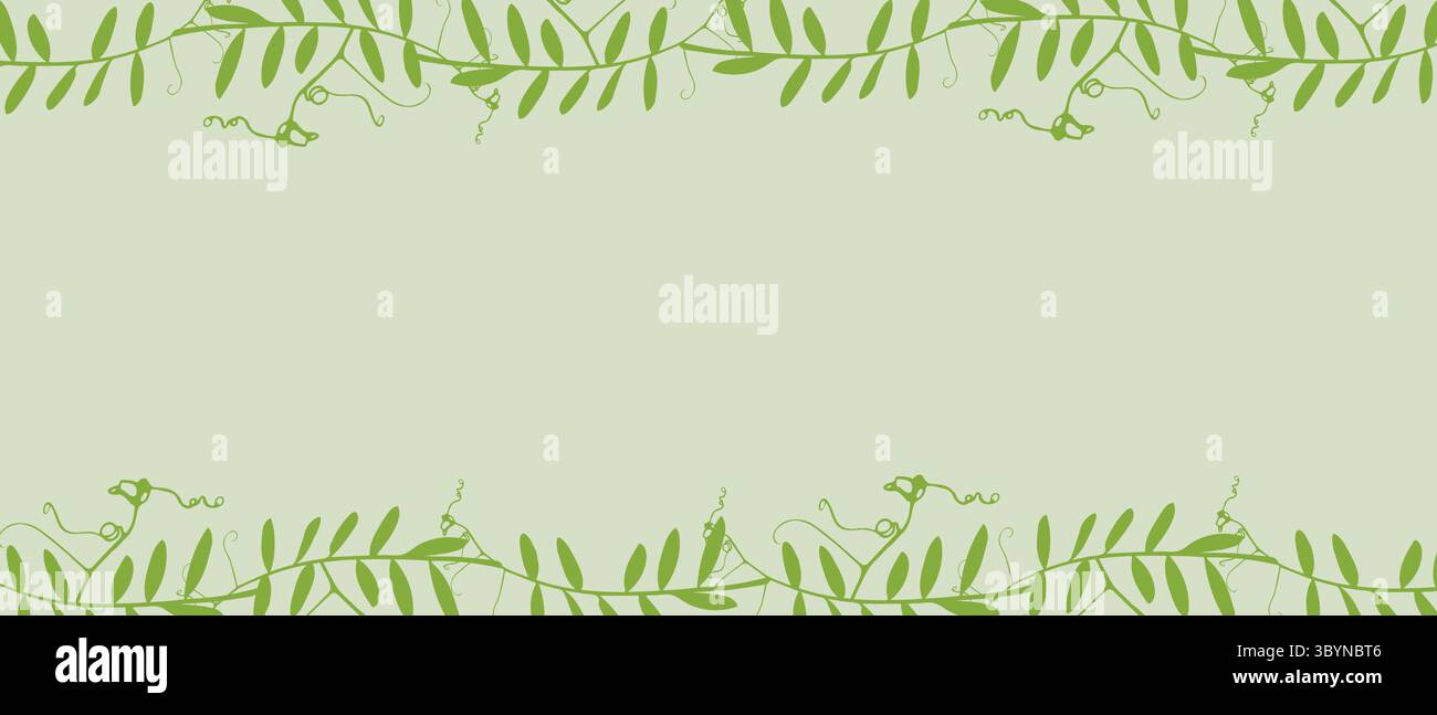 Bannière verte botanique avec cadre de plantes grimpantes pois de souris, fond vide pour l'insertion. Illustration vectorielle Illustration de Vecteur