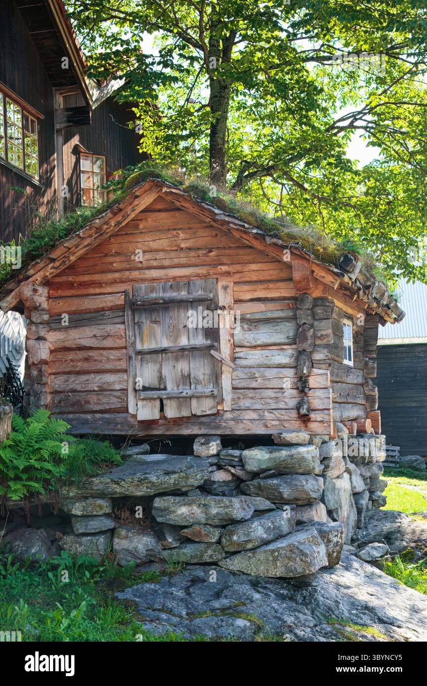 Fjord Geiranger, Norvège. Ancienne cabane en bois avec un toit vert et est entourée d'un feuillage vibrant et d'un paysage rocheux, mettant en valeur le cra traditionnel Banque D'Images