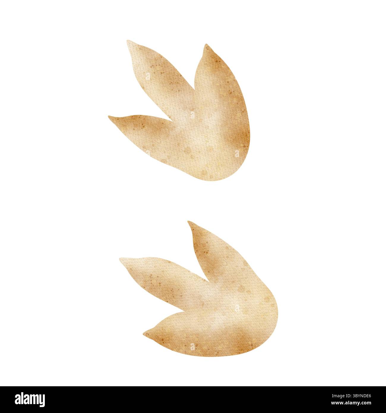 Pinces multiprises pour empreintes de pattes de dinosaure Illustration aquarelle de silhouette de pas d'animaux dans le style des enfants dessiné à la main. Fossilisation en couleur marron sur Banque D'Images