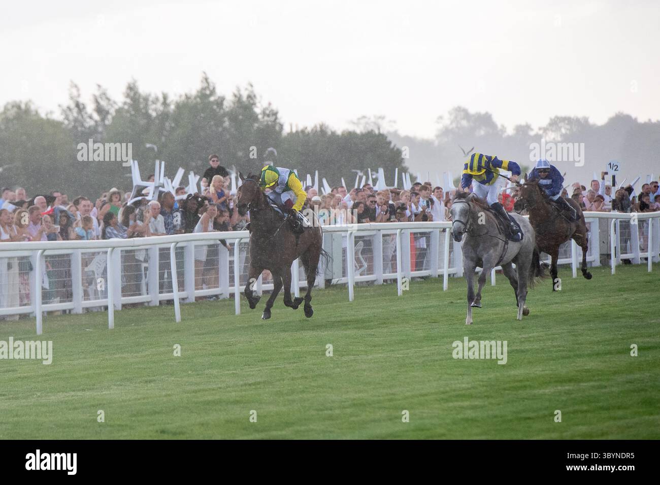 Windsor, Berkshire, Royaume-Uni. 14 juillet 2025. Les coureurs tiennent leurs chaises au-dessus de leur tête sous la pluie alors que le cheval RYDALE FROSTY (n° 7, gris) monté par le jockey Callum Shepherd remporte les Barbados Rum Runners EBF novice Stakes, Class 5, GBB Race au Royal Windsor Racecourse à Windsor, Berkshire lors de la soirée Rum and Reggae. Propriétaire et éleveur Mr A M Pickering CBE, entraîneur David Simcock, Newmarket, commanditaire David Simcock Racing Limited. Crédit : Maureen McLean/Alamy Banque D'Images