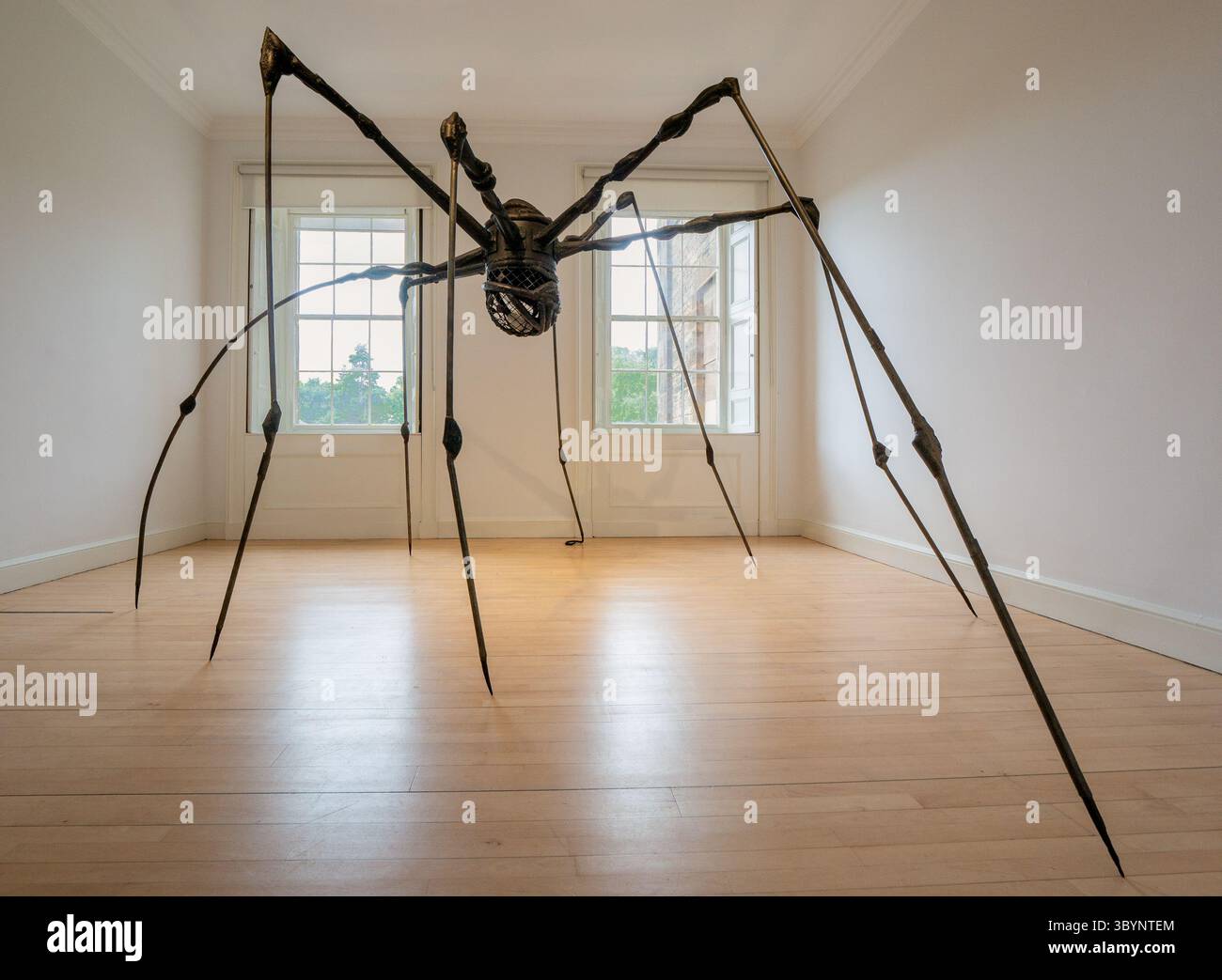 Sculpture d'araignée géante par Louise Bourgeois, National Gallery of Modern Art, Édimbourg, Écosse, Royaume-Uni Banque D'Images Sculpture d'araignée géante par Louise Bourgeois, National Gallery of Modern Art, Édimbourg, Écosse, Royaume-Uni Banque D'Images