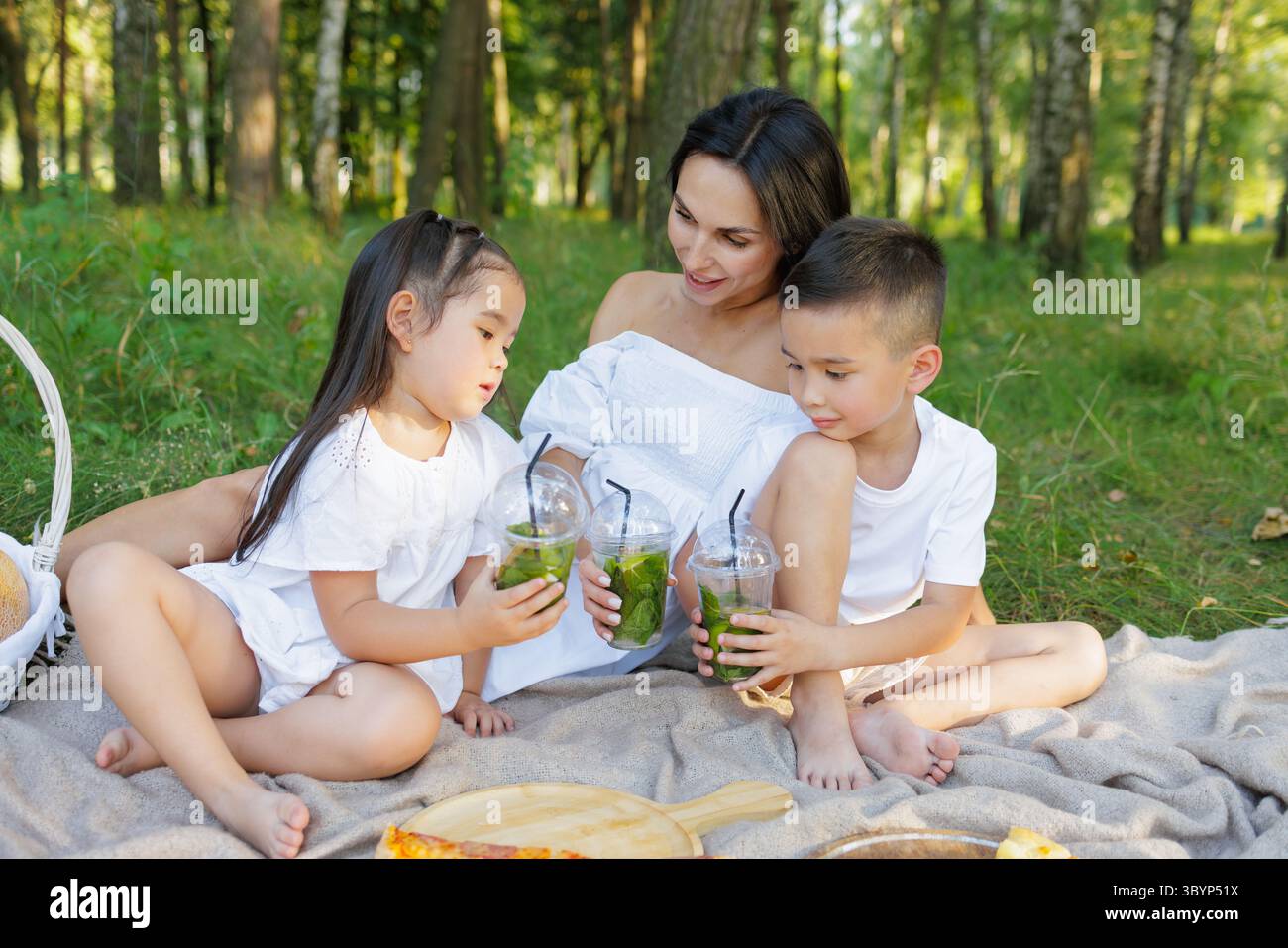 Pique-nique familial heureux à l'extérieur en été mère et enfants buvant de la limonade ensemble dans la nature verte Banque D'Images