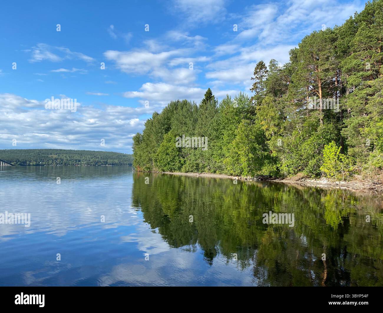 La beauté sereine d'un lac entouré d'arbres verts vibrants sous un ciel bleu. - Image de stock capturée avec un smartphone