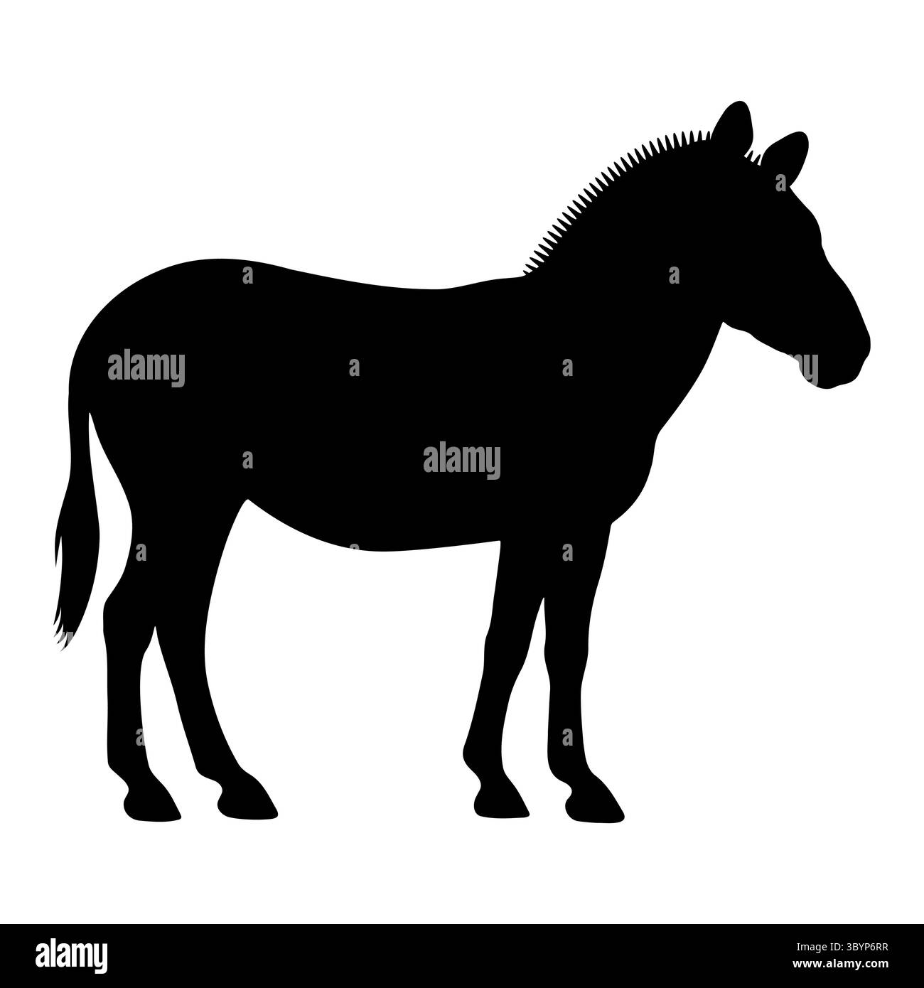 Silhouette zèbre vue debout position calme Illustration de Vecteur Silhouette zèbre vue debout position calme Illustration de Vecteur