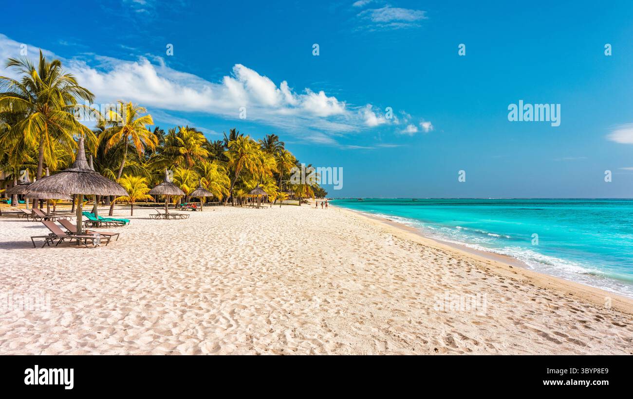 Palmiers sur la plage tropicale du Morne, Maurice. Concept de fond de vacances tropicales sur la plage le Morne, Maurice. Plage paradisiaque sur l'île Maurice i Banque D'Images