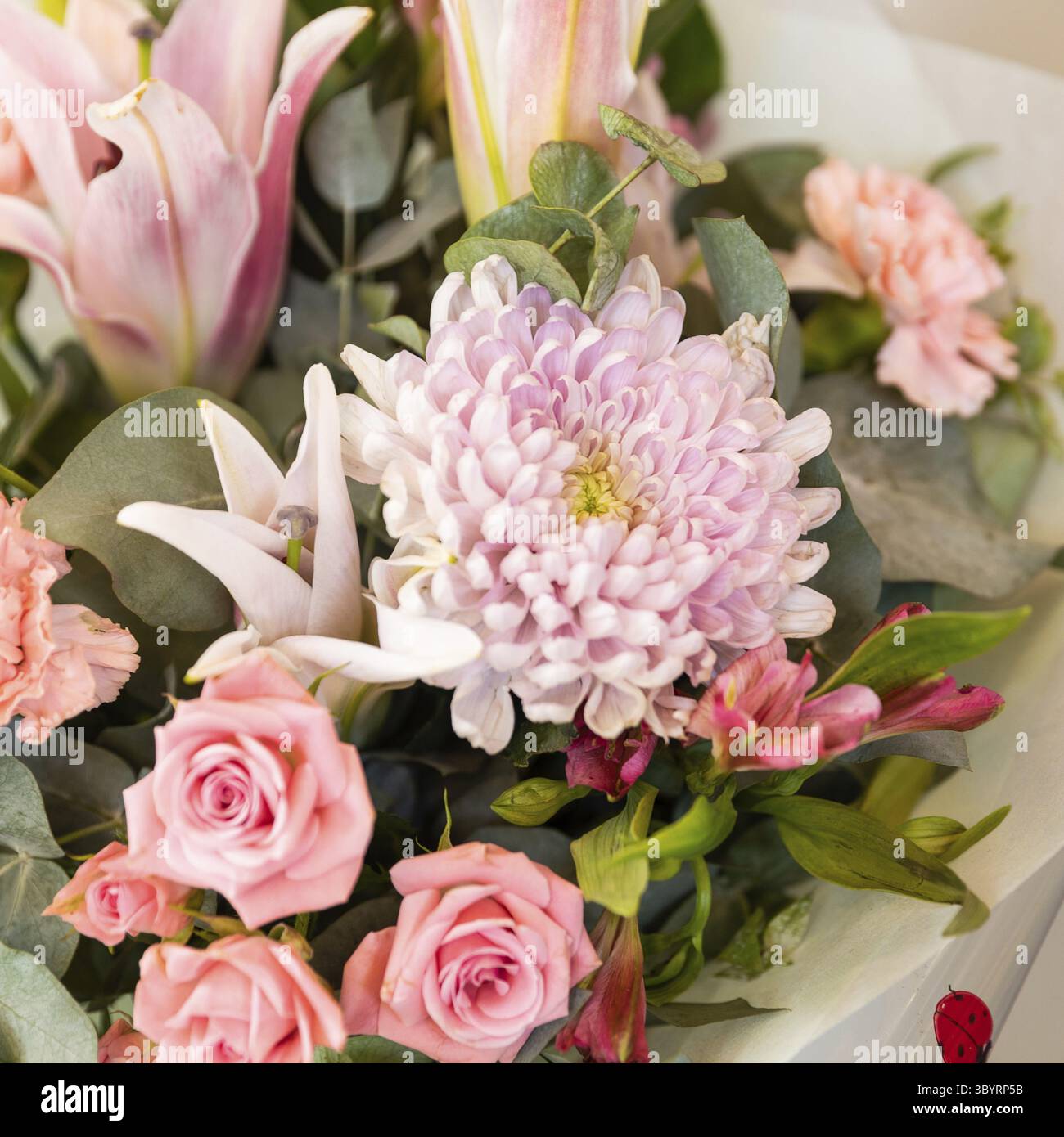 Gros plan sur un bouquet de fleurs colorées Banque D'Images