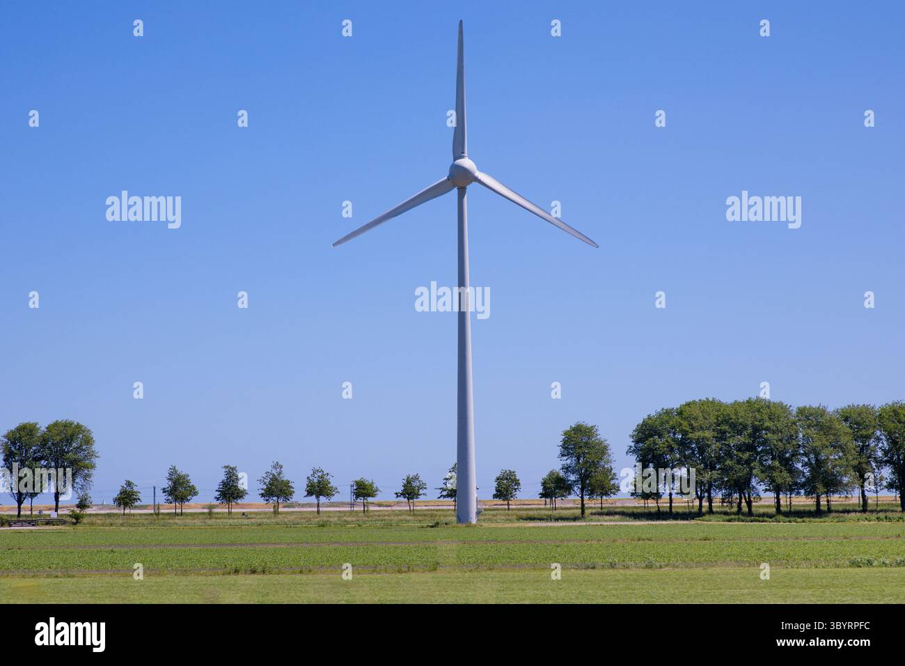 La grande éolienne se trouve dans un champ hollandais sous un ciel bleu vif, symbolisant l'énergie durable et l'harmonie entre la nature et l'innovation moderne. Banque D'Images