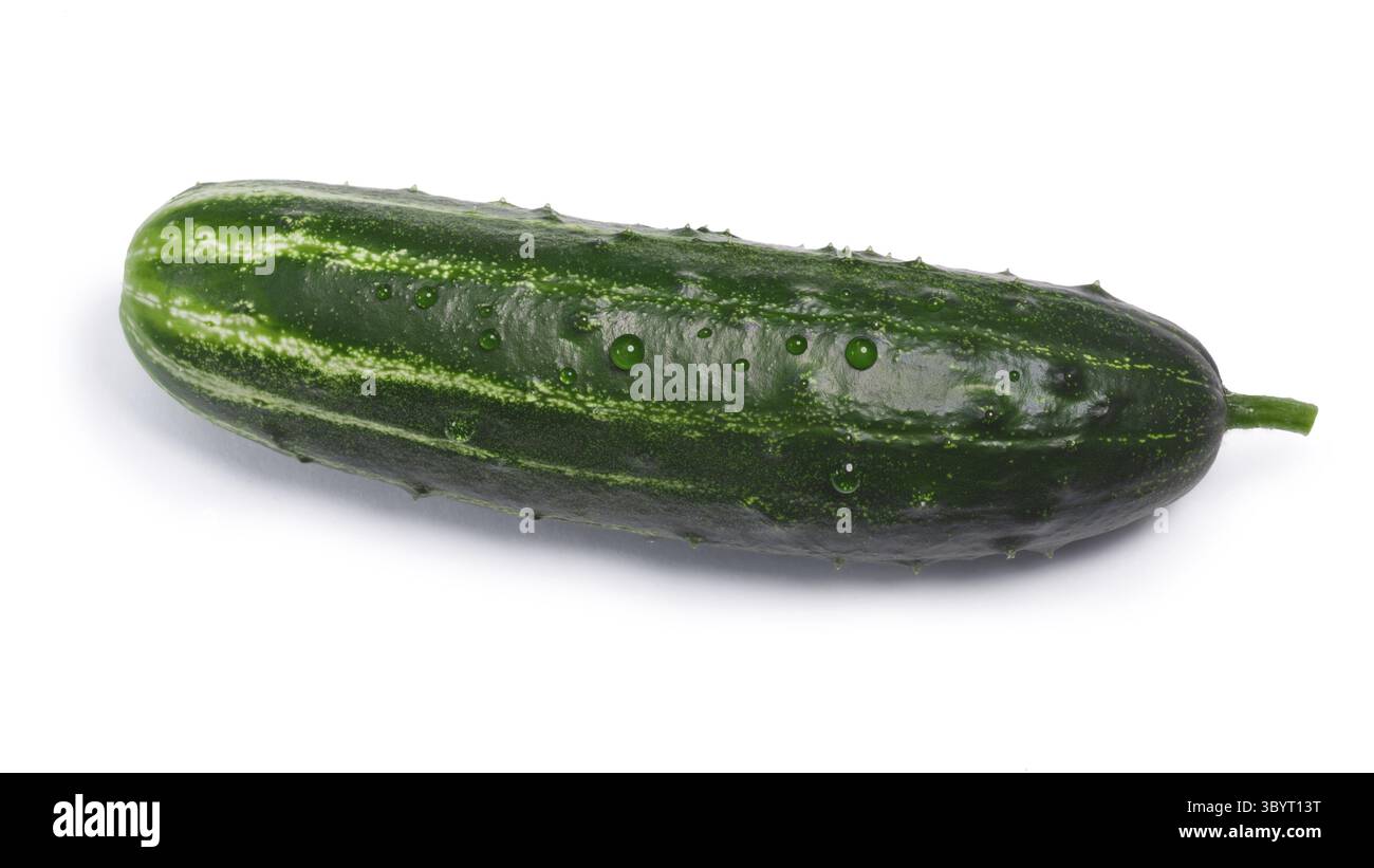 Concombre (Cucumis sativus), vue d'en haut. Chemins de détourage, séparés de l'ombre Banque D'Images