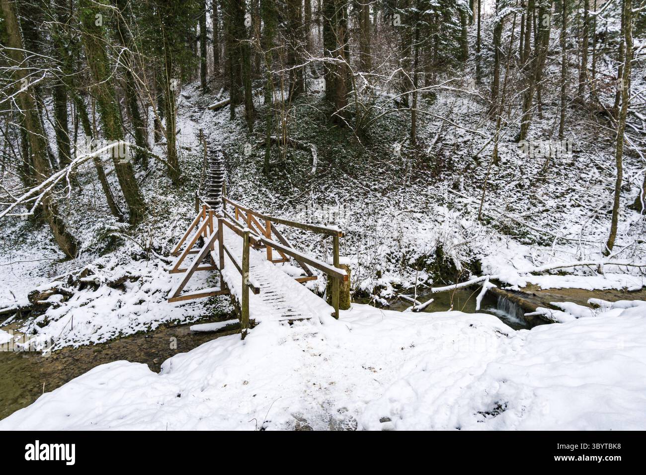 Faites une randonnée dans le ravin couvert de neige à Schmaleg près de Ravensburg Souabe supérieur Banque D'Images