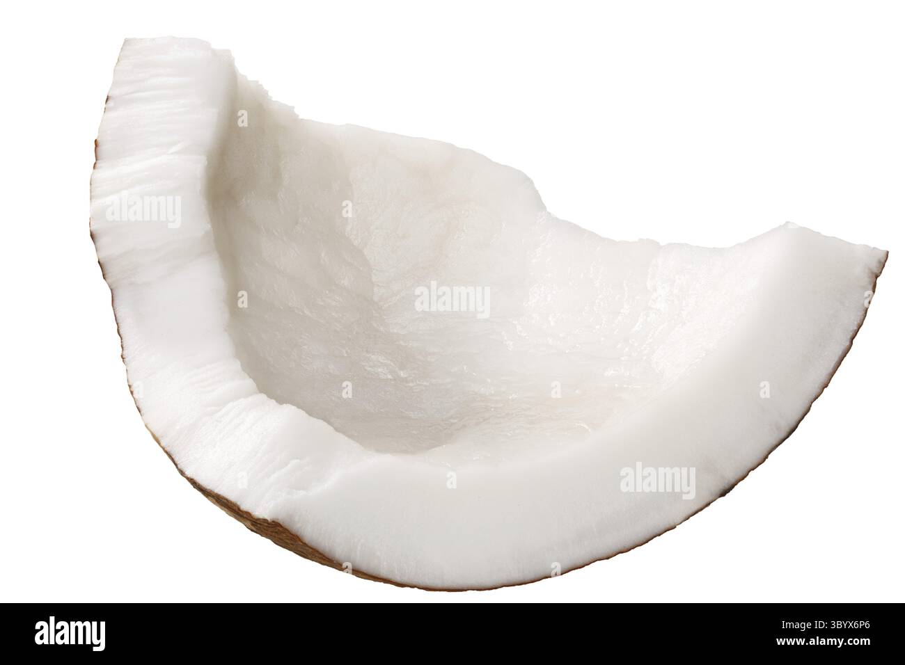 Morceau de chair de noix de coco (Cocos nucifera) noyau fruits décortiqués, cassé de forme irrégulière, Banque D'Images