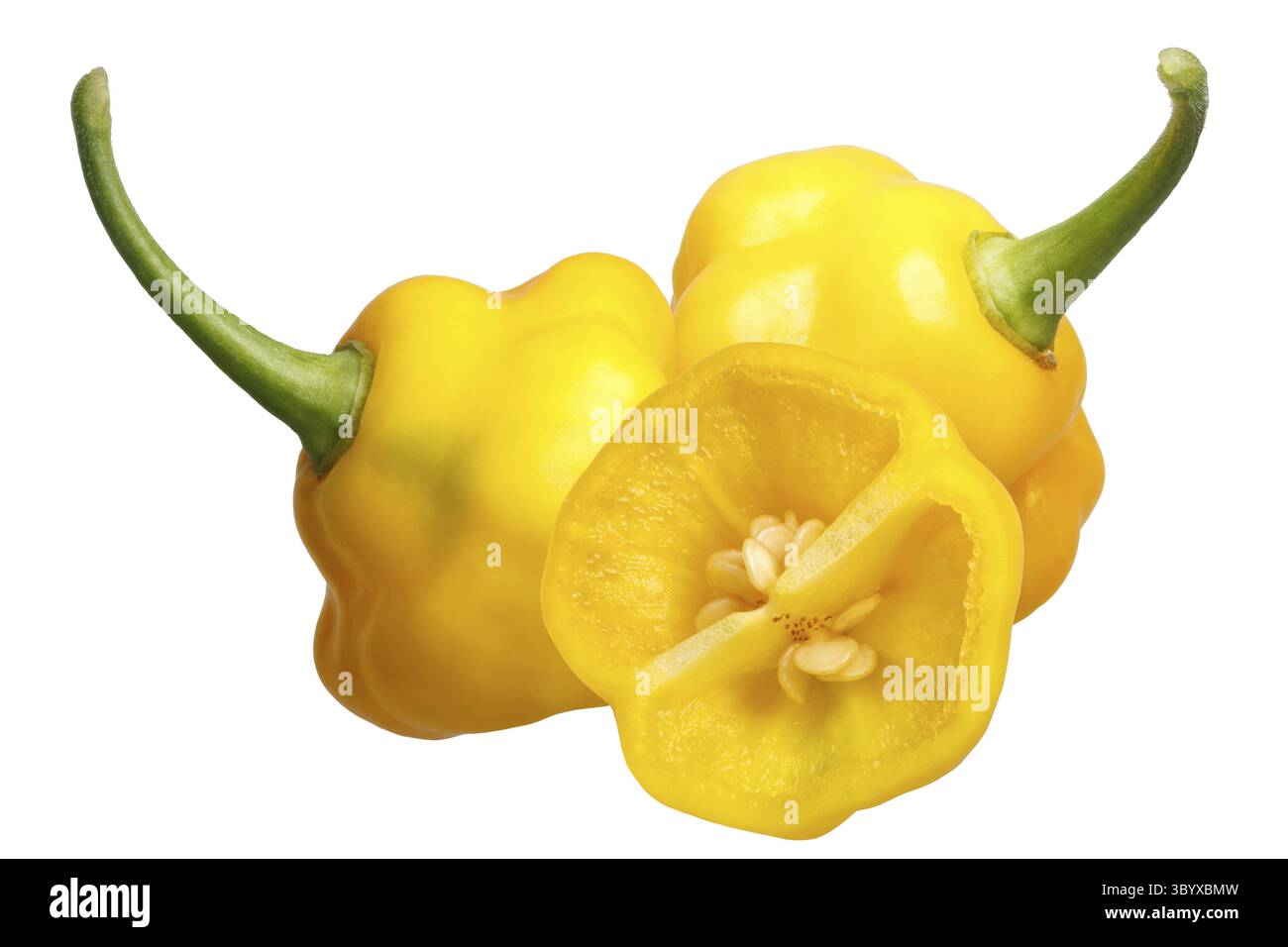 Trinidad parfum piments du chili (Capsicum chinense). Masque Banque D'Images