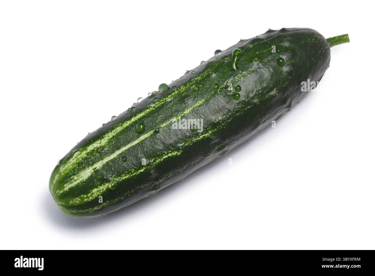 Concombre (Cucumis sativus), vue d'en haut. Chemins de détourage, séparés de l'ombre Banque D'Images