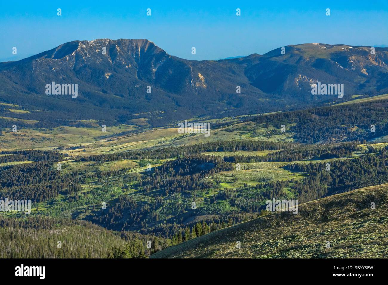 montagne de moutons dans la chaîne de cornes vertes vue depuis la crête du monument près de l'aulne, montana Banque D'Images