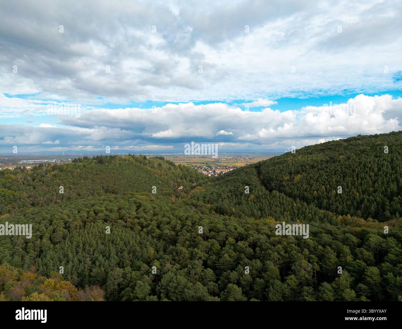 Cette photographie aérienne haute résolution capture un panorama panoramique de la forêt du Palatinat recouverte d'arbres à la vaste plaine du Rhin baignée de gol Banque D'Images