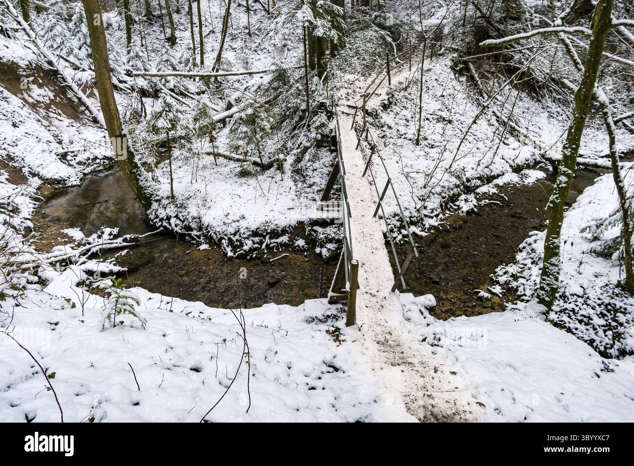 Faites une randonnée dans le ravin couvert de neige à Schmaleg près de Ravensburg Souabe supérieur Banque D'Images