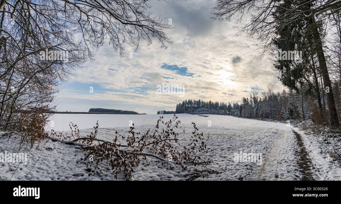 Faites une randonnée dans le ravin couvert de neige à Schmaleg près de Ravensburg Souabe supérieur Banque D'Images