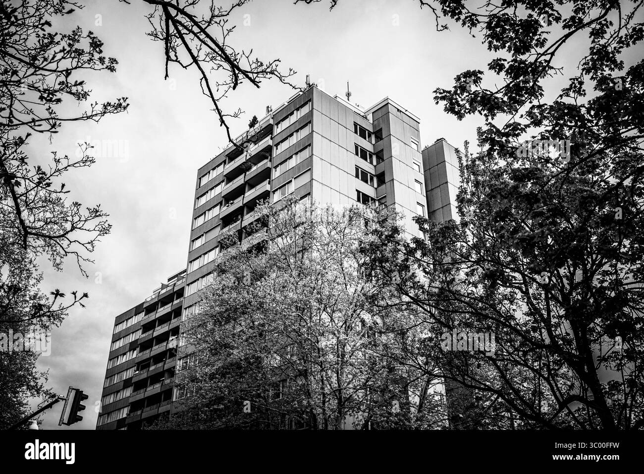 Photographie en noir et blanc d'un immeuble résidentiel moderne de grande hauteur capturé sous un angle bas, partiellement obscurci par des branches d'arbres. Banque D'Images