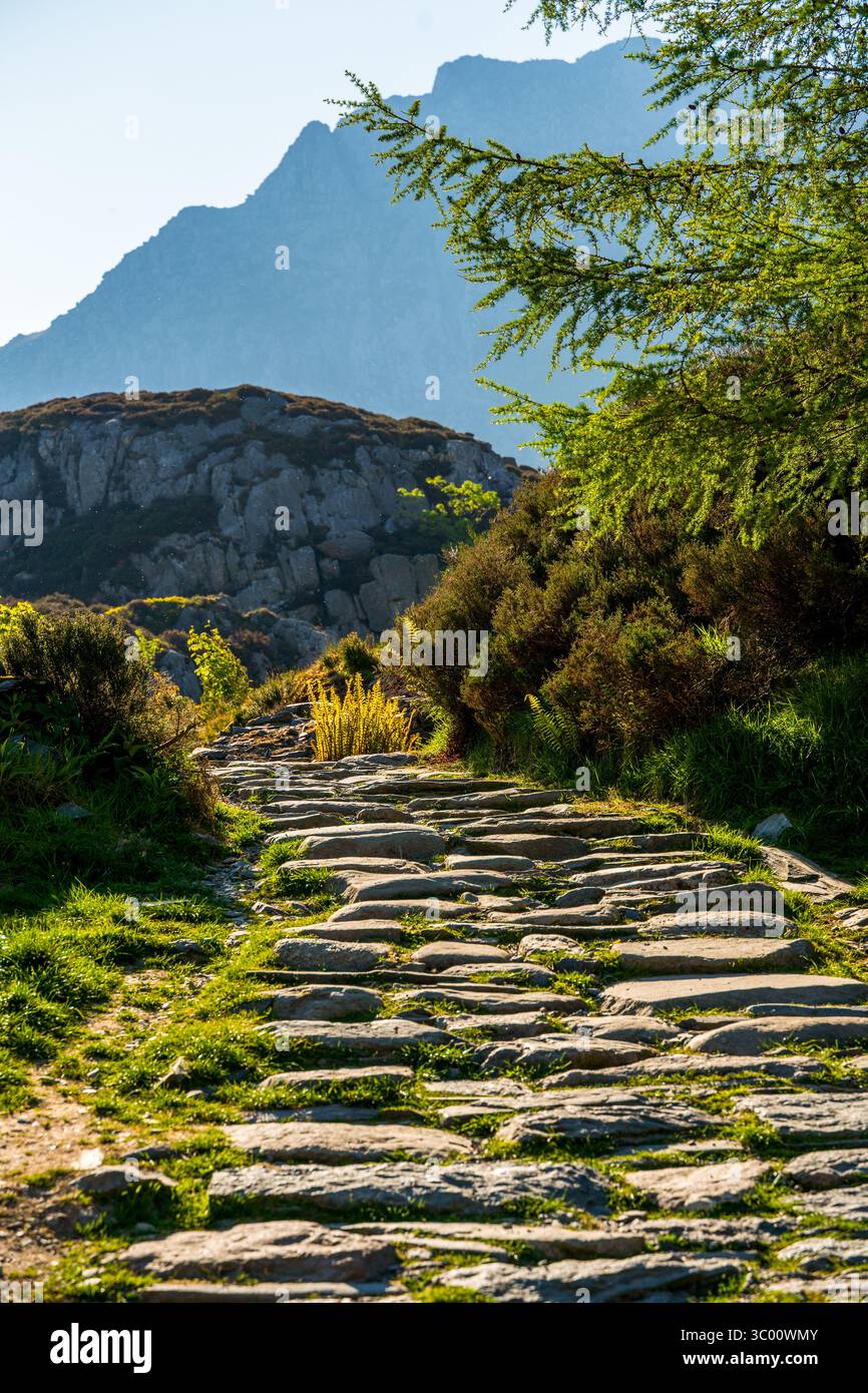 Chemin de pierre à travers la campagne galloise luxuriante avec la montagne en toile de fond Banque D'Images