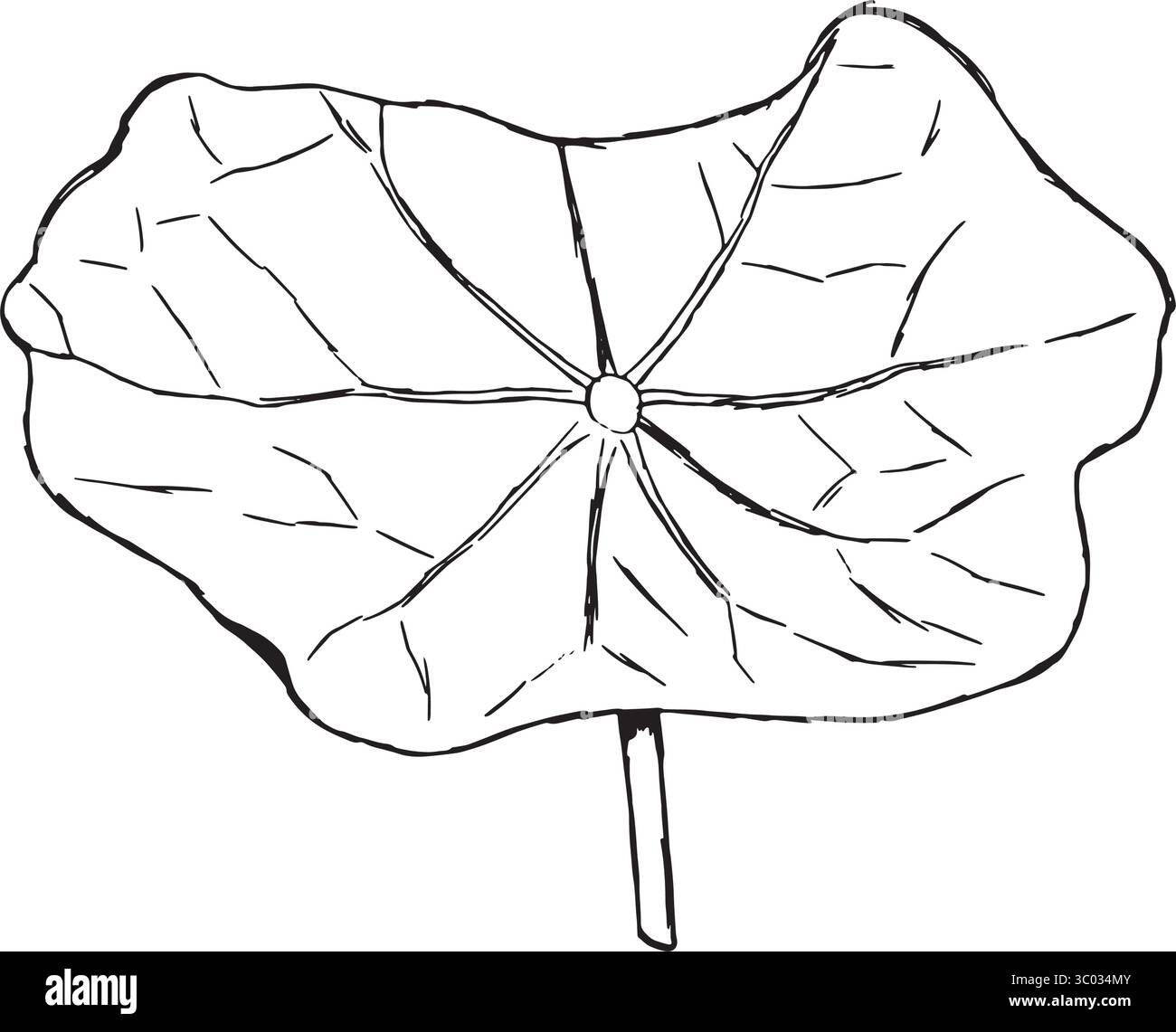 Une illustration magnifiquement travaillée d'une feuille qui met en valeur et met en valeur ses détails complexes et délicats. Illustration vectorielle dessinée à la main en graphiques noir et blanc. Illustration de Vecteur