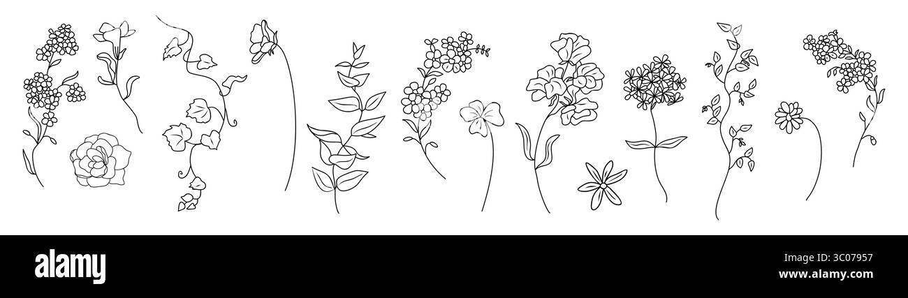 Ensemble de minuscules fleurs sauvages et d'art de ligne de plante Illustration de Vecteur