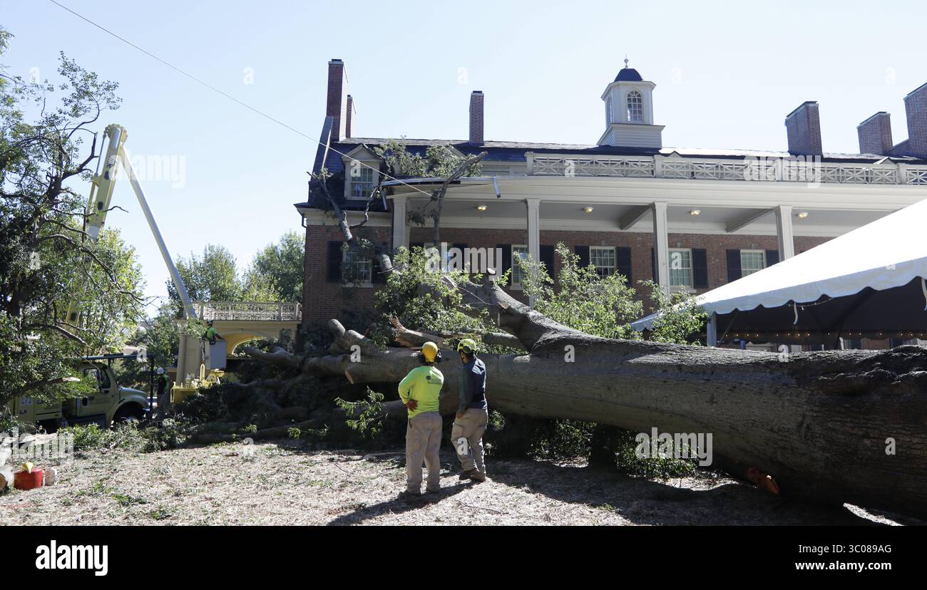 12 octobre 2018 - Chapel Hill, NC, États-Unis - des travailleurs des experts de Barlett Tree regardent au-dessus d'un chêne de saule qui est tombé jeudi au Carolina Inn à Chapel Hill vendredi, Oct. 12, 2018. Heidi Werner, directrice des ventes et du marketing au Carolina Inn, dit que l'arbre, qui avait plus de 100 ans et 150 pieds de haut, ne sera pas complètement enlevé avant la semaine prochaine. (Crédit image : © Ethan Hyman/Raleigh News & observer/TNS via ZUMA Wire) Banque D'Images