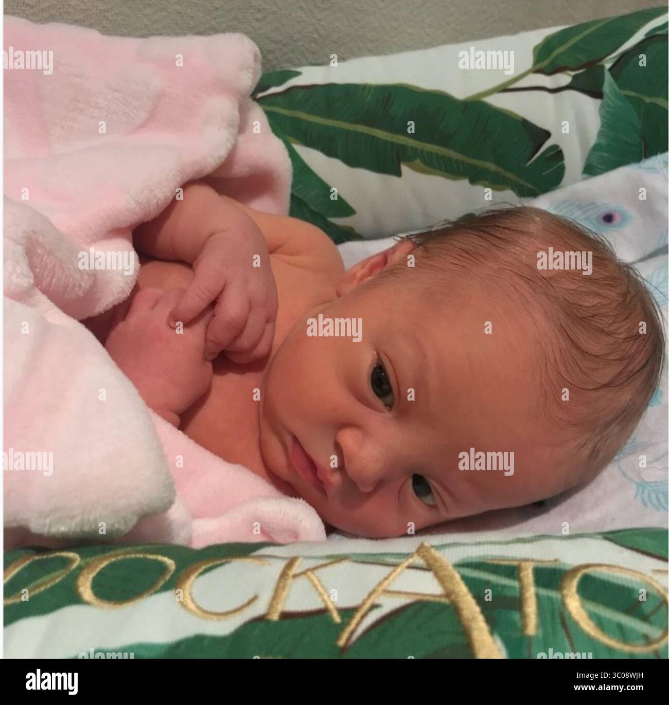 UNITED S : L'acteur superstar de Wedding Crashers Owen Wilson a sa première petite fille Lyla Aranya Wilson, née le 10-09-18 avec Varunie Vongsvirates ..personnes : Lyla Aranya Wilson (crédit image : © SMG via ZUMA Wire) Banque D'Images