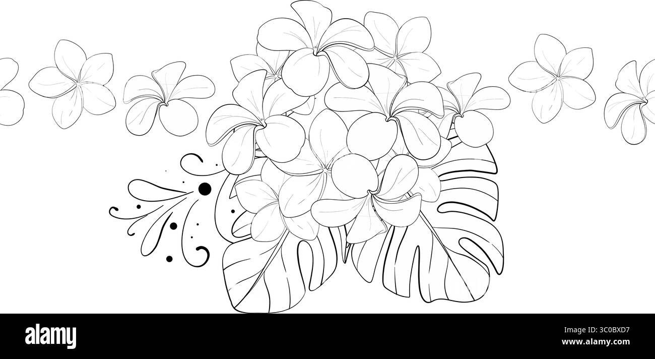 Vecteur frontière d'été sans couture tropicale simple, modèle avec des fleurs plumeria. Frangipanie. Ornement graphique dessiné à la main. Silhouette de circuit noir Illustration de Vecteur Vecteur frontière d'été sans couture tropicale simple, modèle avec des fleurs plumeria. Frangipanie. Ornement graphique dessiné à la main. Silhouette de circuit noir Illustration de Vecteur